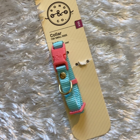 Bond & Co Dog Tiny Xxs Dog Collar Poshmark